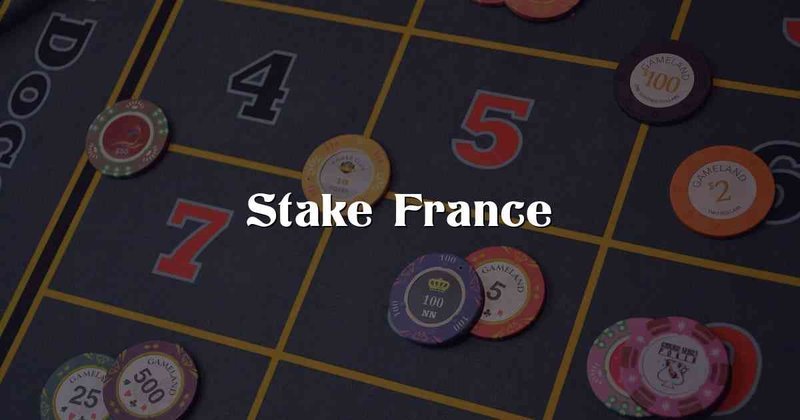 Introduction : pourquoi ce guide ? à France